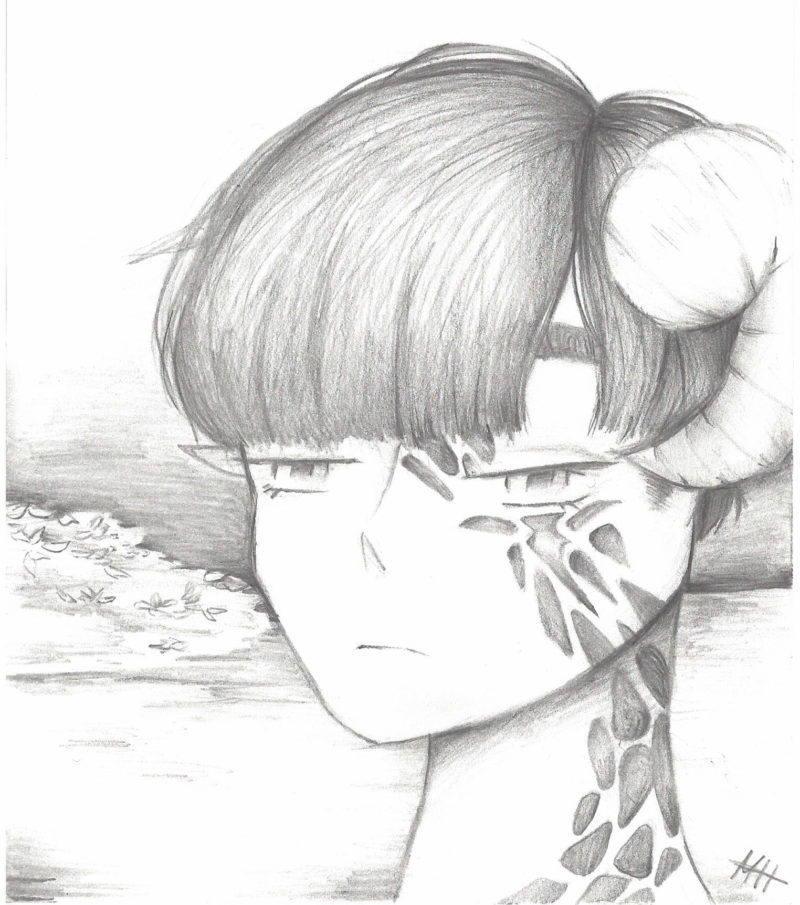 A close-up of a girl in a field, drawn in pencil by Megan Harris.